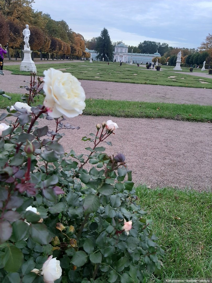 Сезон фотоохоты. Продолжение или закрытие осеннего сезона. "Кусково"