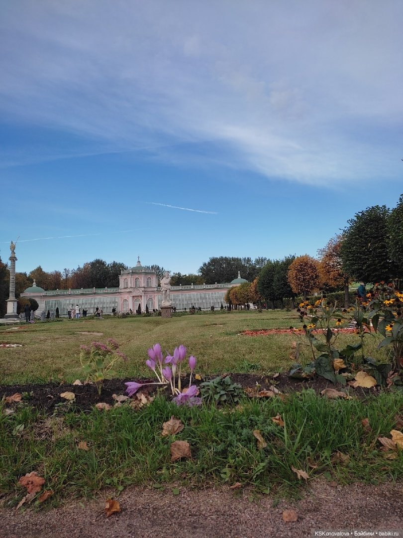 Сезон фотоохоты. Продолжение или закрытие осеннего сезона. "Кусково"