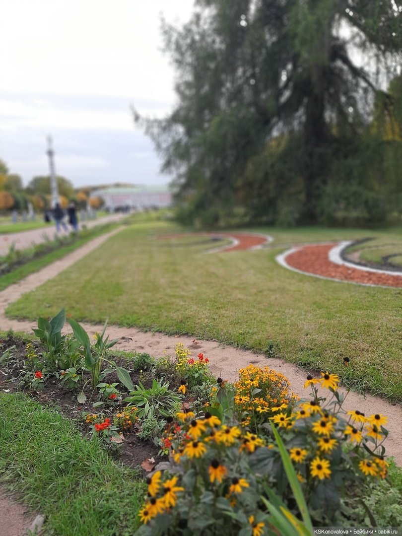 Сезон фотоохоты. Продолжение или закрытие осеннего сезона. "Кусково"