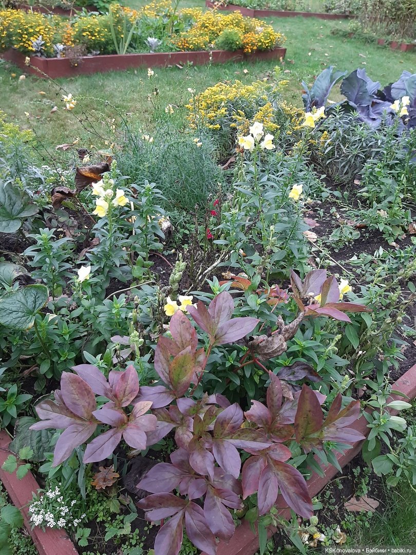 Сезон фотоохоты. Продолжение или закрытие осеннего сезона. "Кусково"