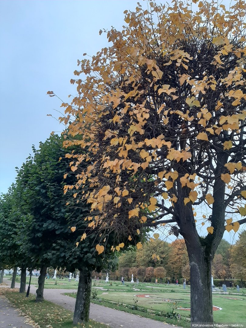 Сезон фотоохоты. Продолжение или закрытие осеннего сезона. "Кусково"