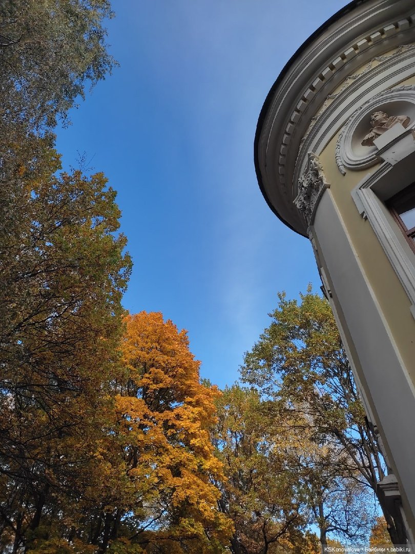 Сезон фотоохоты. Продолжение или закрытие осеннего сезона. "Кусково" (фото 10)