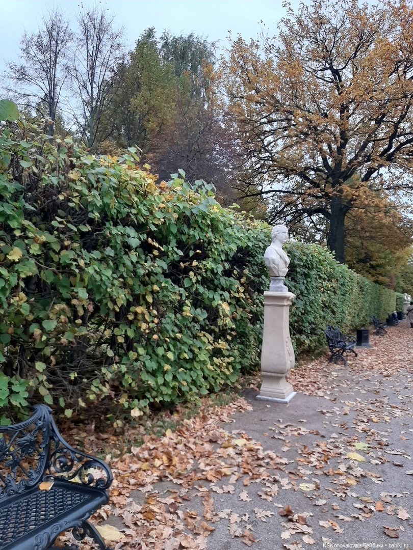 Сезон фотоохоты. Продолжение или закрытие осеннего сезона. "Кусково"