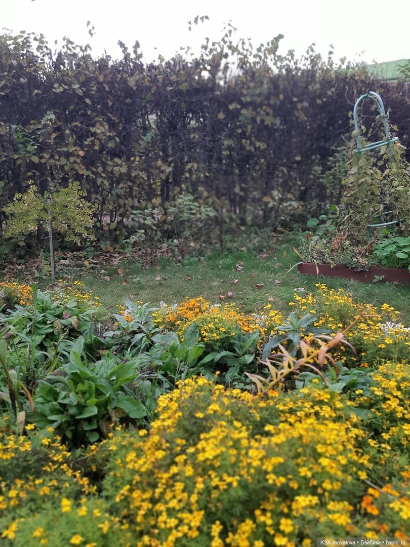 Сезон фотоохоты. Продолжение или закрытие осеннего сезона. "Кусково"