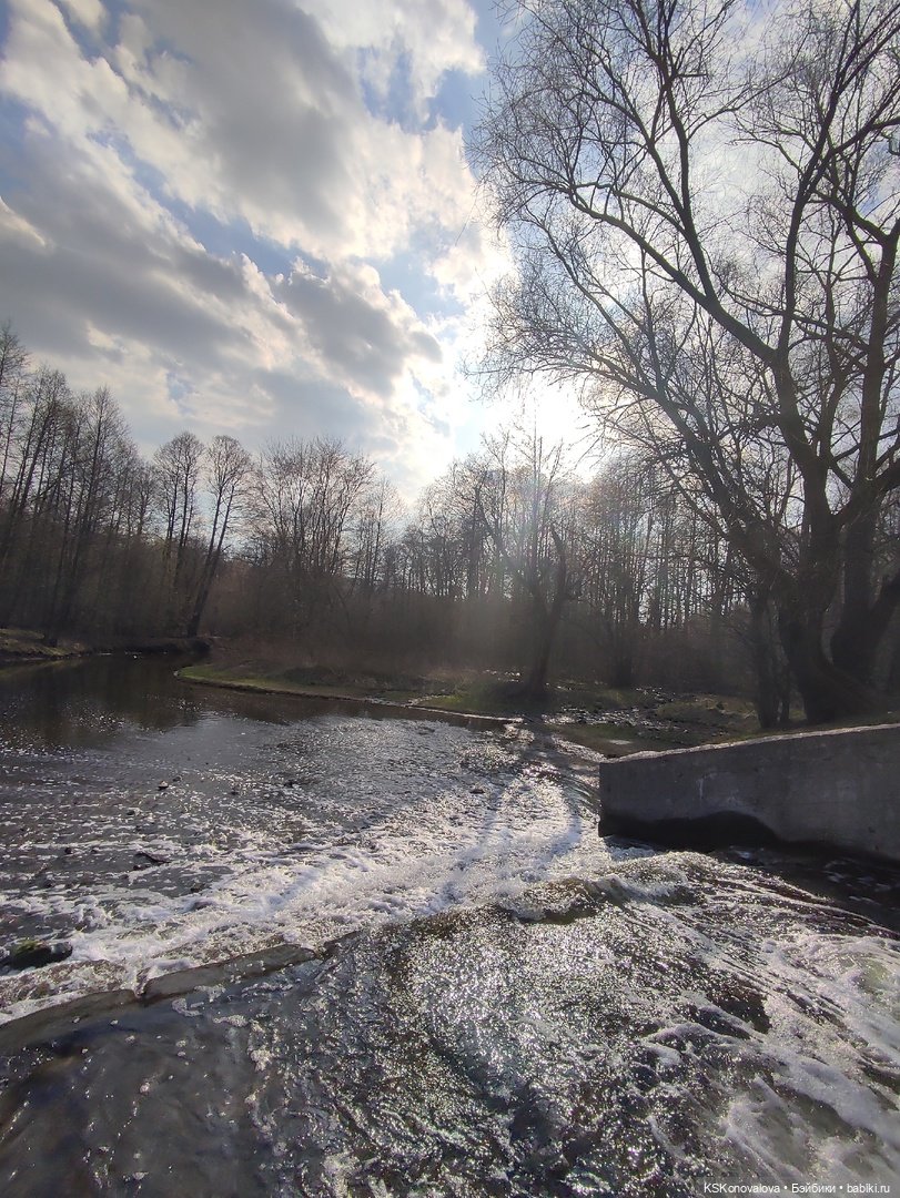 Сезон весенней фотосессии открыт! Лила - вторая ласточка