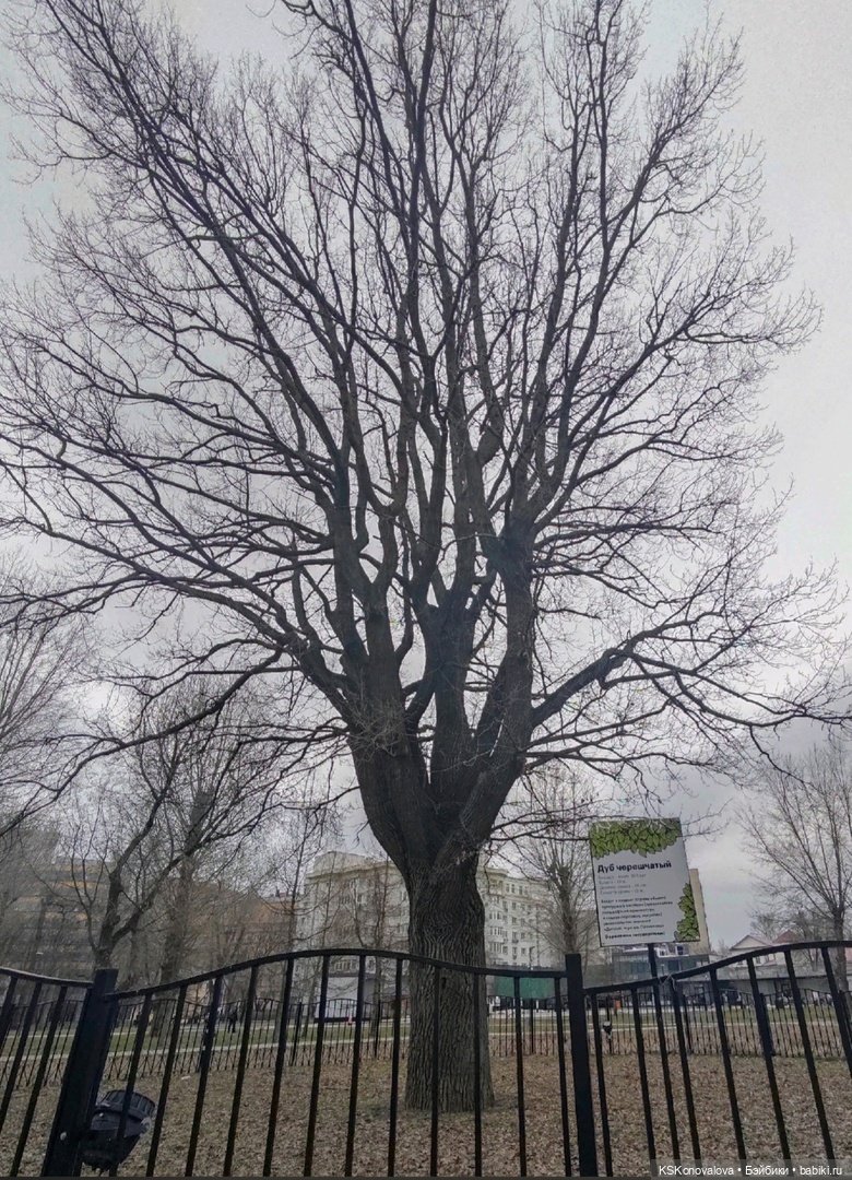 Как мы наш приз за конкурс к юбилею Руби Ред получали | Бэйбики Как мы наш приз за конкурс к юбилею Руби Ред получали