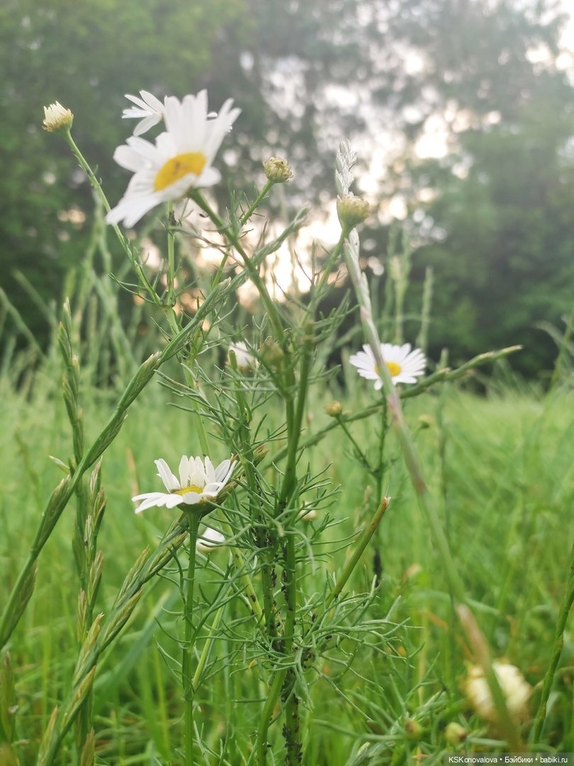 День рождения "Весны" и полувыходной