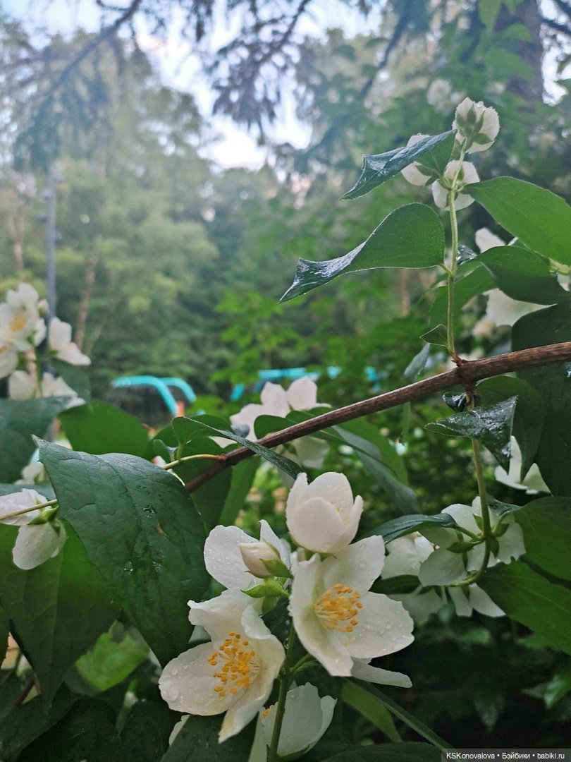 День рождения "Весны" и полувыходной