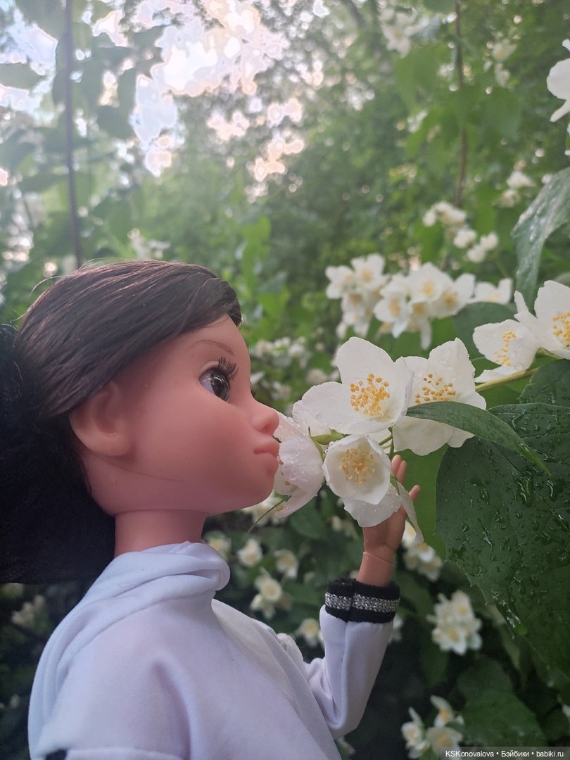 День рождения "Весны" и полувыходной