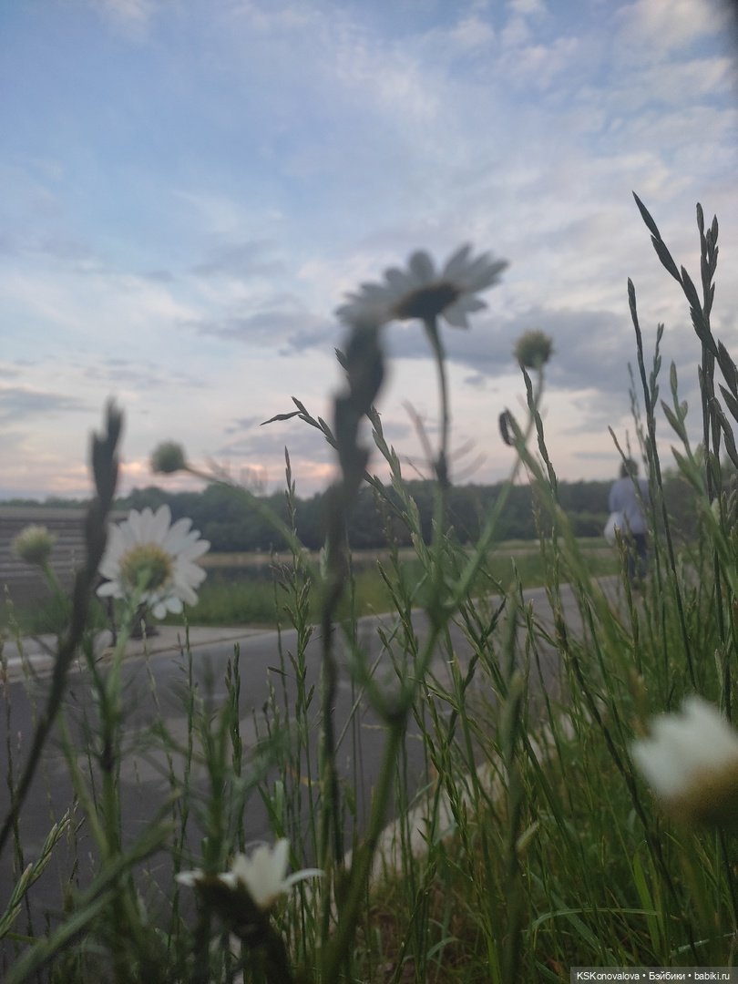 День рождения "Весны" и полувыходной