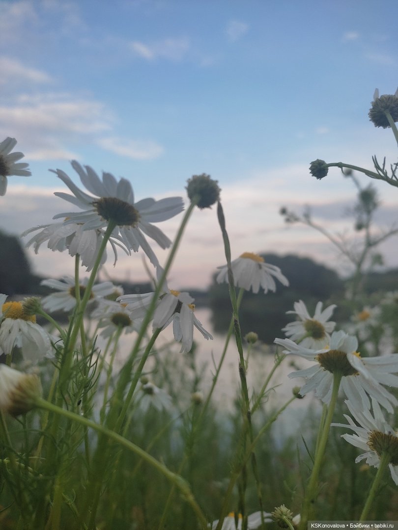 День рождения "Весны" и полувыходной