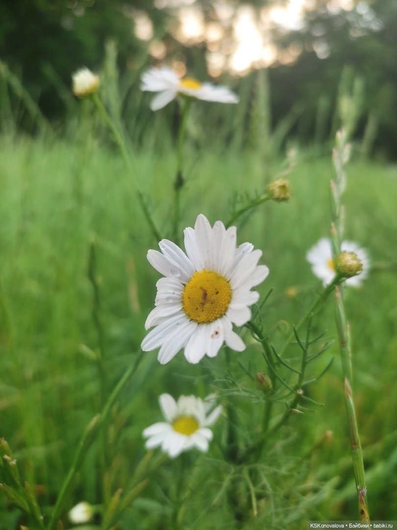День рождения "Весны" и полувыходной