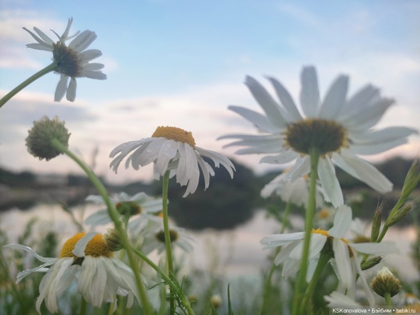 День рождения "Весны" и полувыходной