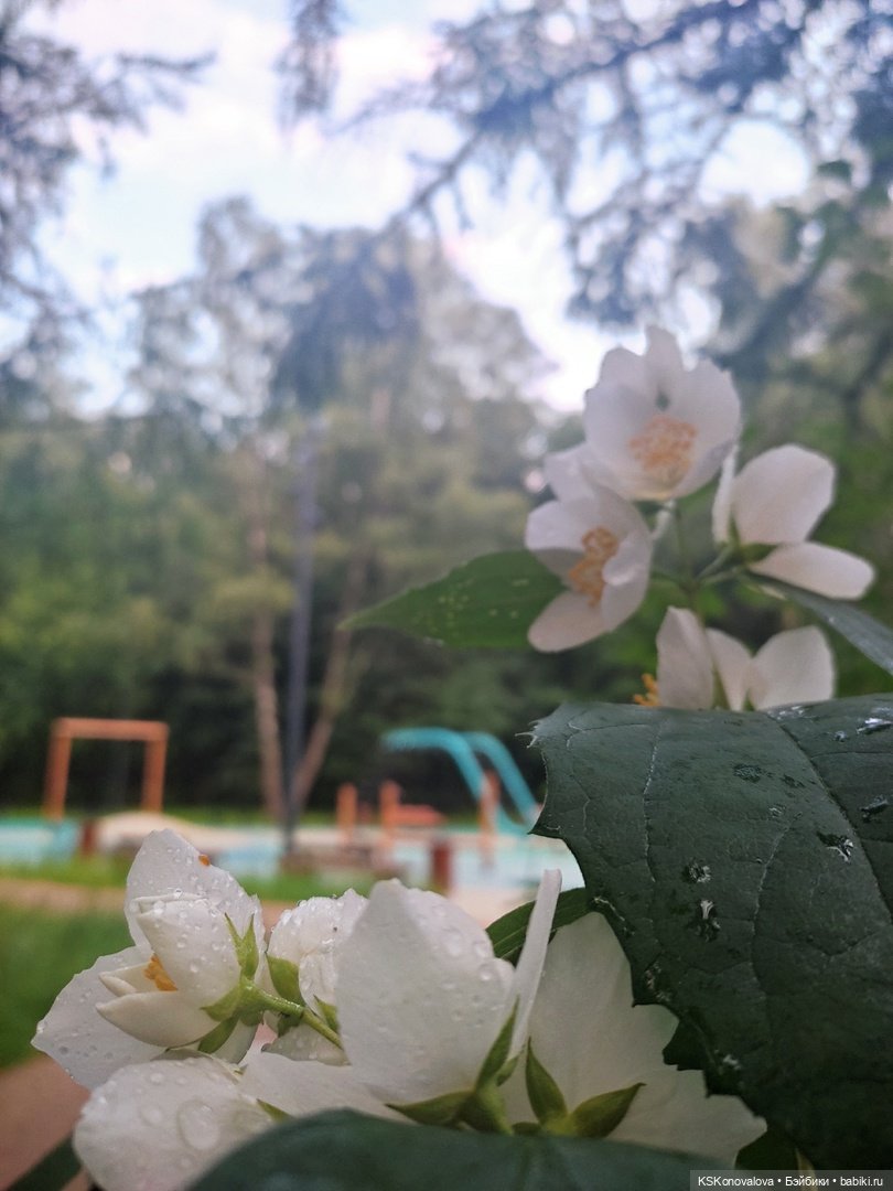 День рождения "Весны" и полувыходной