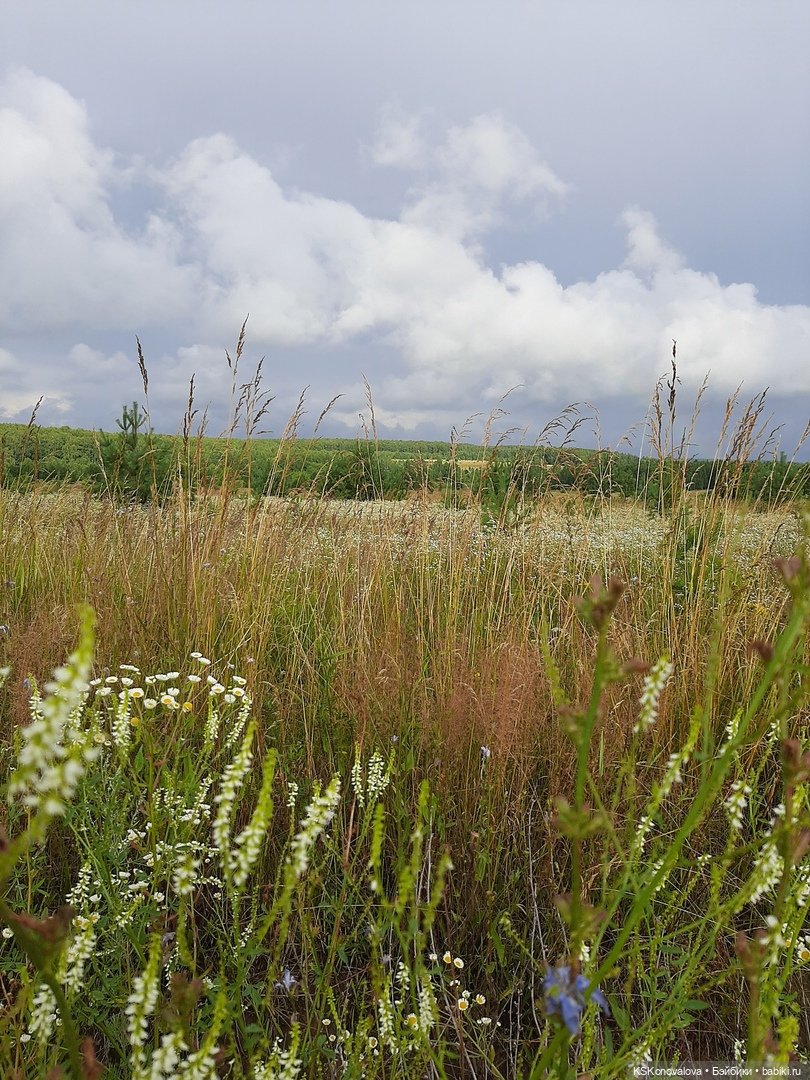 АВГУСТФЕСТ "ТИХИЙ ДОН" — АвгустФест: фестиваль кукольных театров и спектаклей (фото 10)
