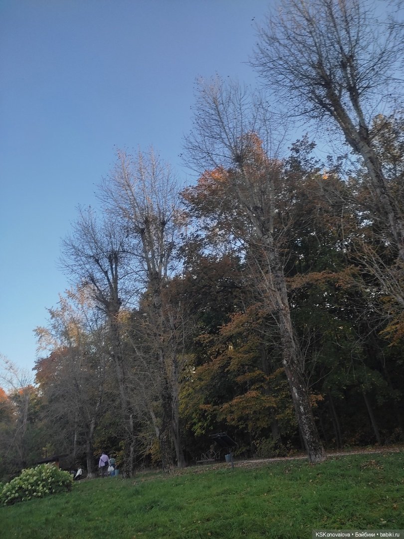 Реальная сказка или сказочная реальность