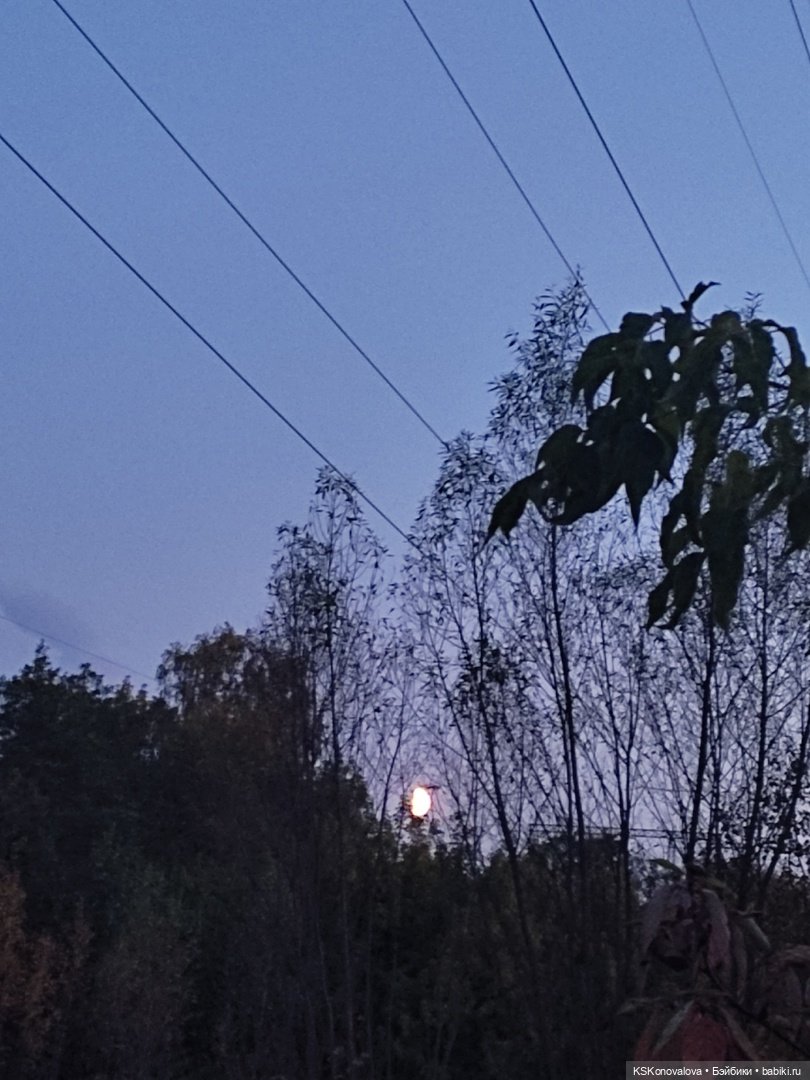 Реальная сказка или сказочная реальность