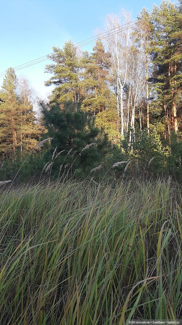 Свершилось - Первая в её жизни прогулка