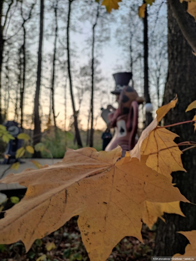 Свершилось - Первая в её жизни прогулка