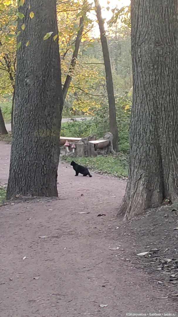 Свершилось - Первая в её жизни прогулка
