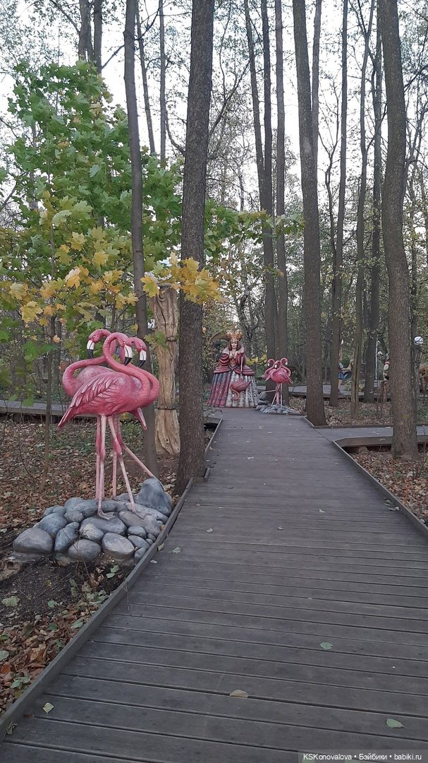 Свершилось - Первая в её жизни прогулка