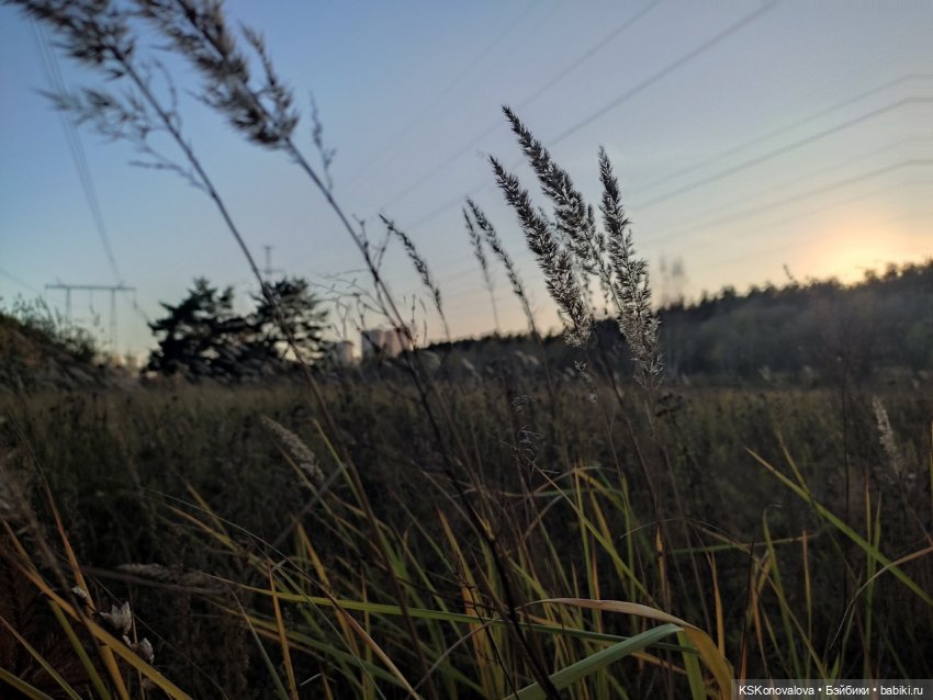 Свершилось - Первая в её жизни прогулка