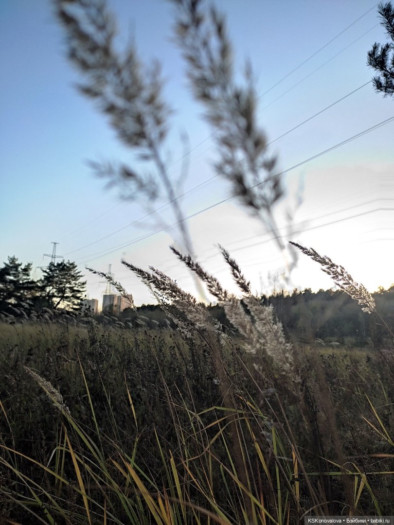 Свершилось - Первая в её жизни прогулка