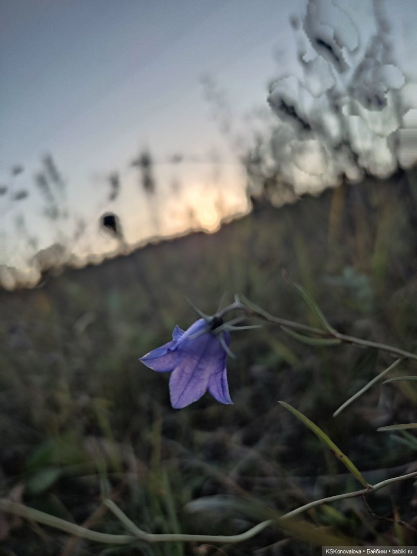 Свершилось - Первая в её жизни прогулка