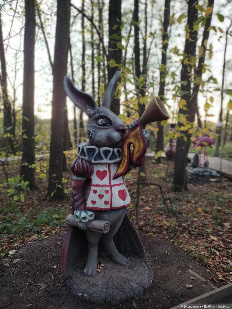 Свершилось - Первая в её жизни прогулка