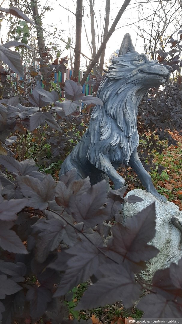 Свершилось - Первая в её жизни прогулка