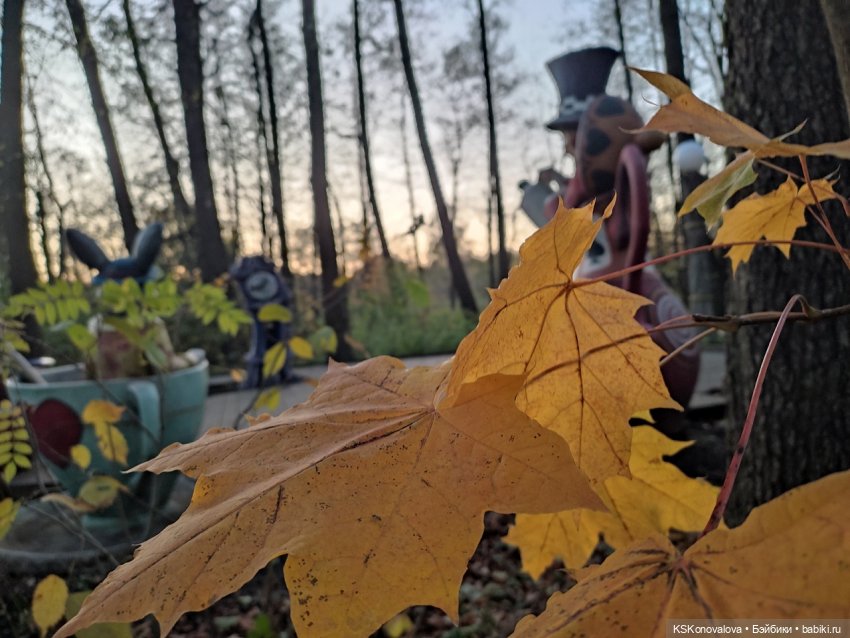 Свершилось - Первая в её жизни прогулка