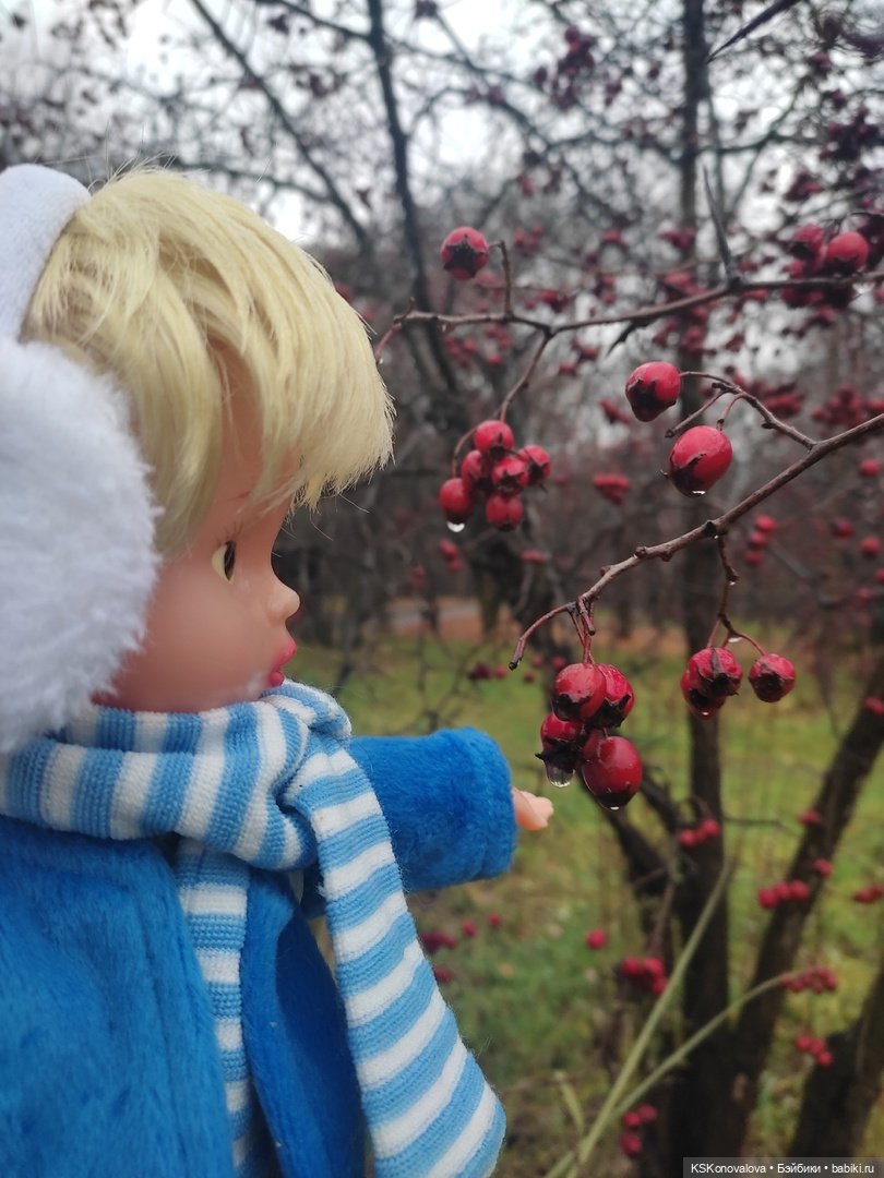 День 7 ноября или Назад в будущее