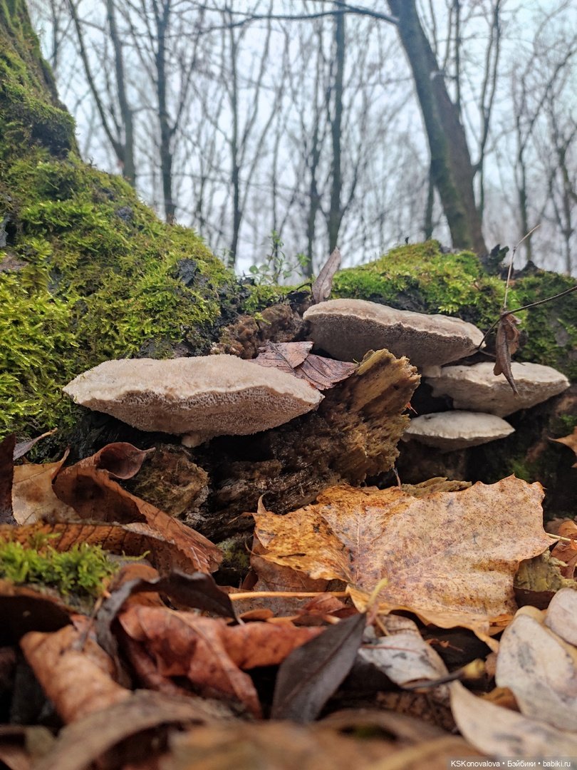 День 7 ноября или Назад в будущее