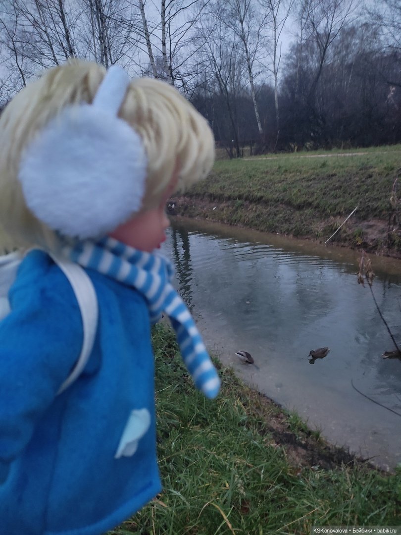 День 7 ноября или Назад в будущее