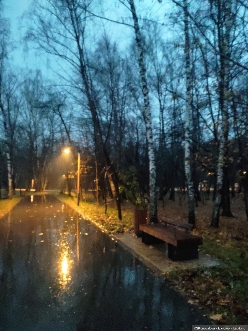 День 7 ноября или Назад в будущее