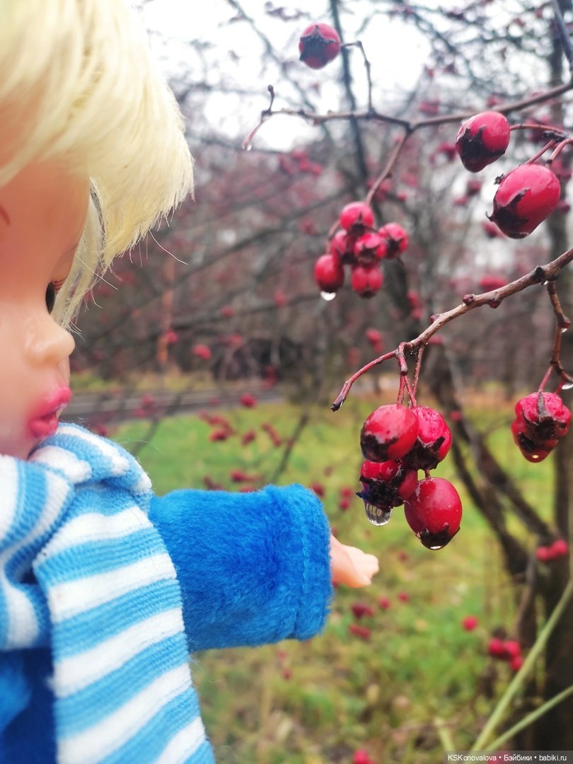 День 7 ноября или Назад в будущее