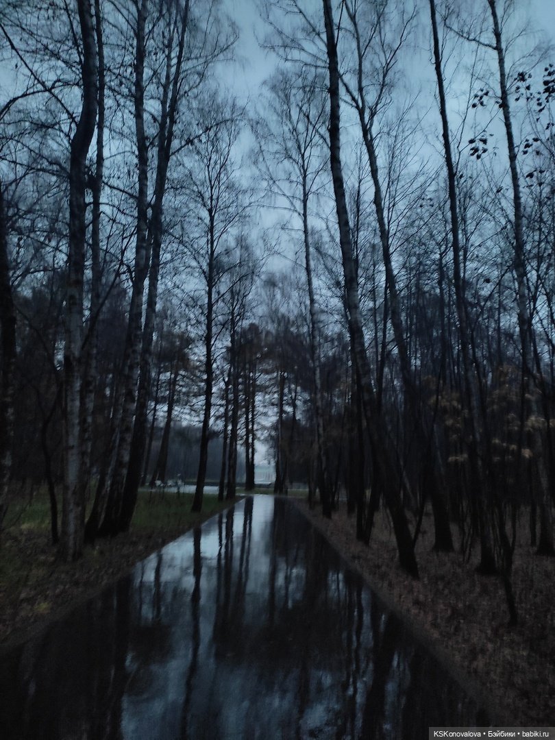 День 7 ноября или Назад в будущее