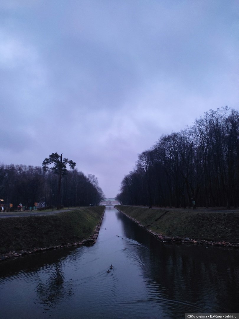 День 7 ноября или Назад в будущее