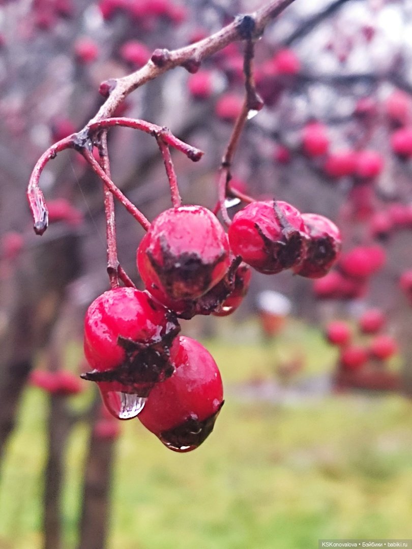День 7 ноября или Назад в будущее