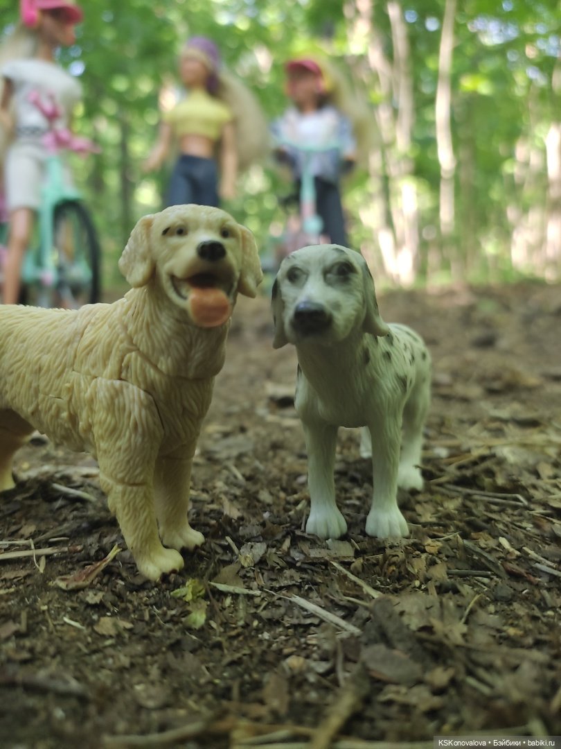 Флэшмоб - День домашних животных в реальном и кукольном формате (фото 5)