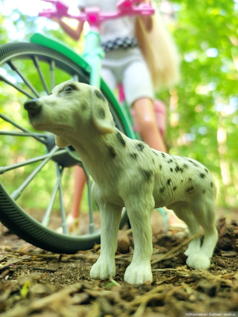 Флэшмоб - День домашних животных в реальном и кукольном формате (фото 6)