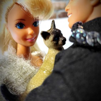 Флэшмоб - День домашних животных в реальном и кукольном формате