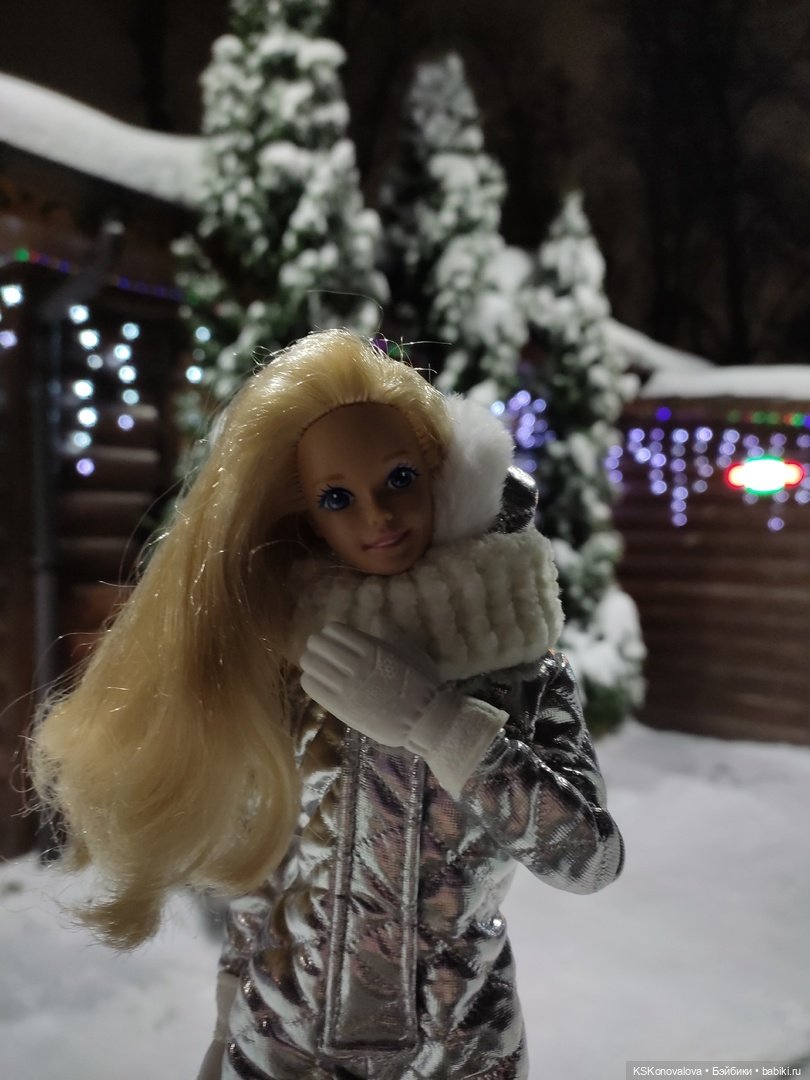 После снегопада — Куклы Barbie (Барби): Looks