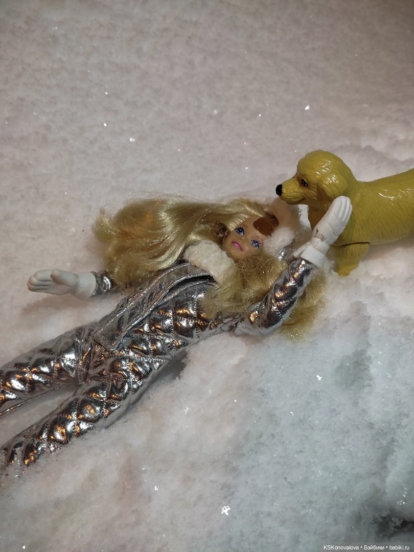 После снегопада — Куклы Barbie (Барби): Looks