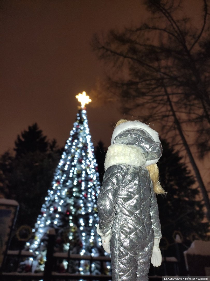 После снегопада — Куклы Barbie (Барби): Looks