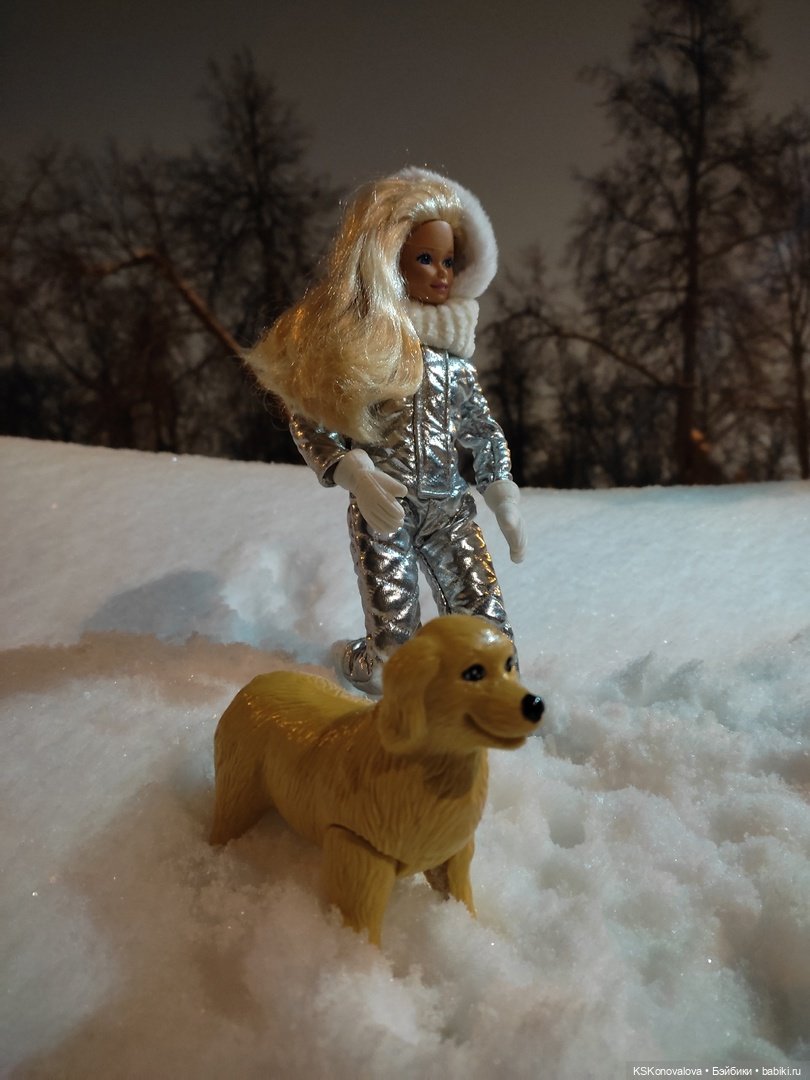 После снегопада — Куклы Barbie (Барби): Looks