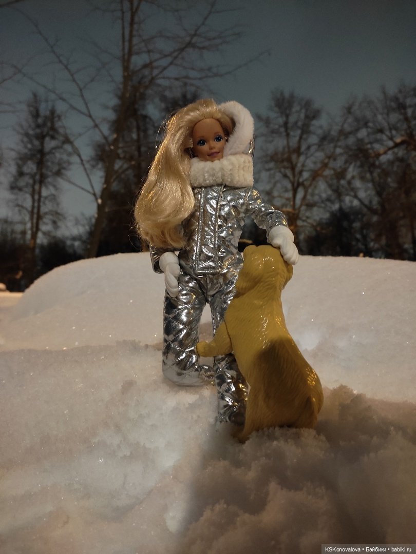 После снегопада — Куклы Barbie (Барби): Looks