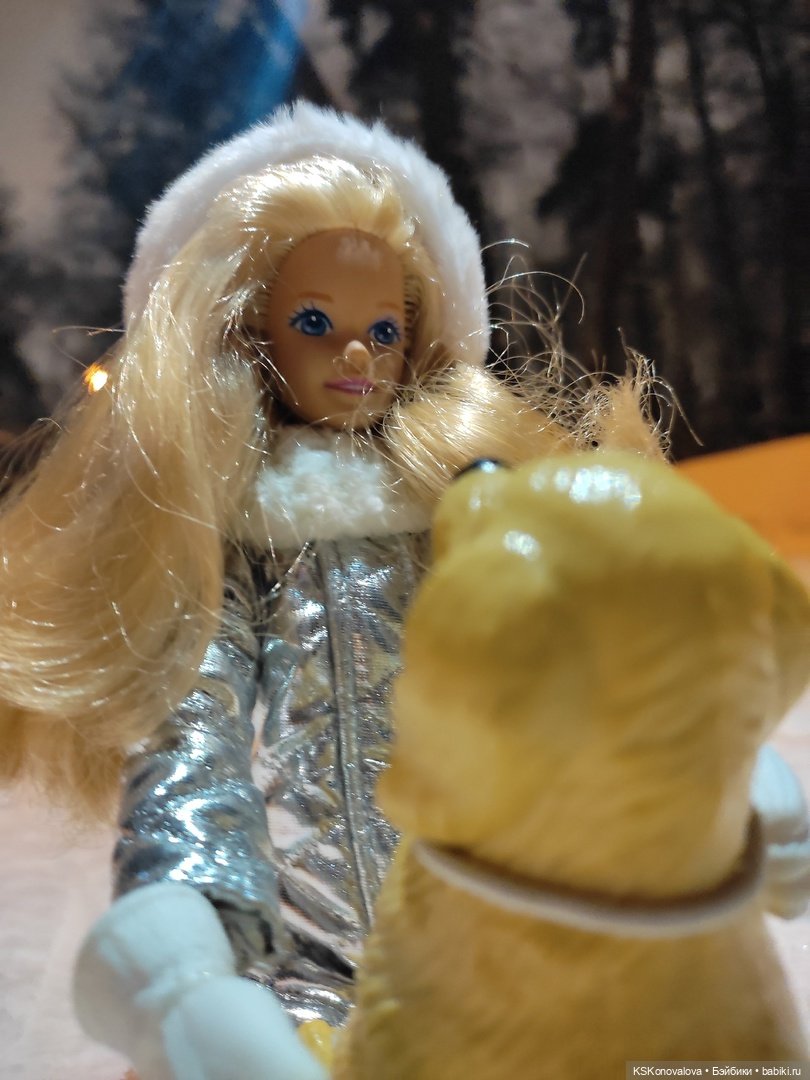 После снегопада — Куклы Barbie (Барби): Looks