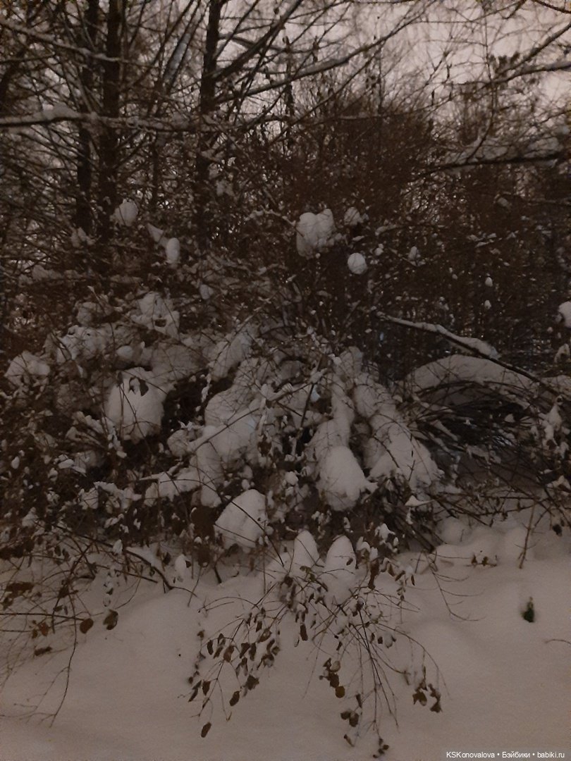 После снегопада — Куклы Barbie (Барби): Looks (фото 7)