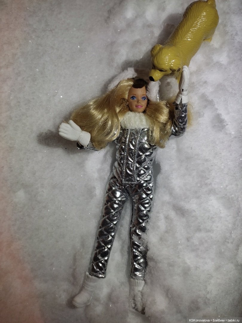 После снегопада — Куклы Barbie (Барби): Looks